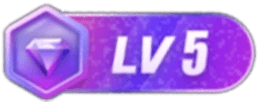 LV5 等级-LV5-大幕网